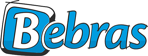 Bebras Community / National Bebras Organizers/RSPC “Daryn”