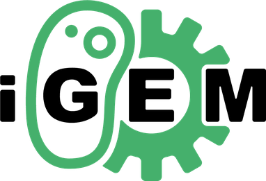 iGEM Foundation